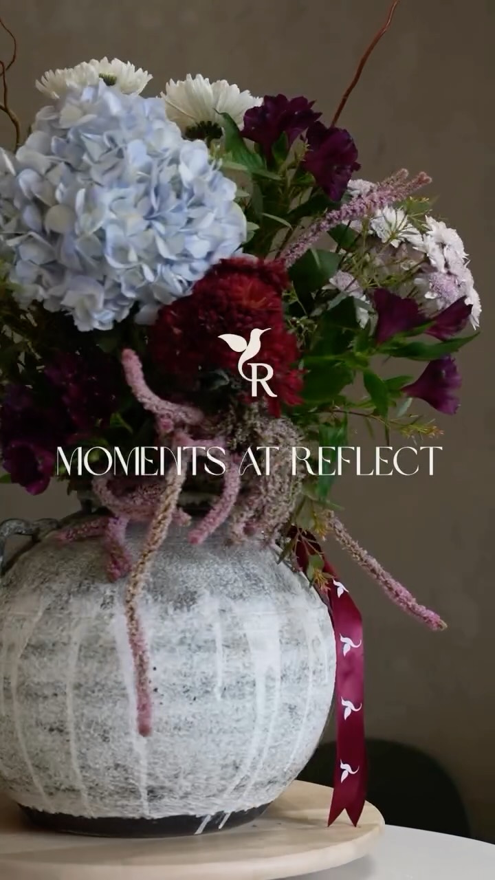 Planta decorativa en maceta de diseño para interior moderno